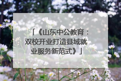 《山东中公教育：双校开业打造县域就业服务新范式》
