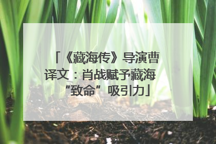《藏海传》导演曹译文：肖战赋予藏海“致命”吸引力