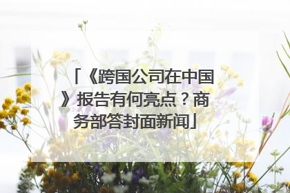 《跨国公司在中国》报告有何亮点？商务部答封面新闻
