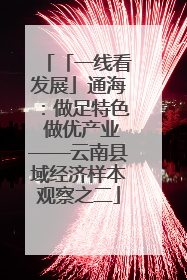 「一线看发展」通海：做足特色 做优产业——云南县域经济样本观察之二