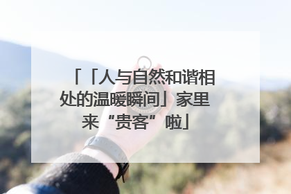 「人与自然和谐相处的温暖瞬间」家里来“贵客”啦