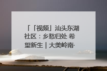 「视频」汕头东湖社区：乡愁归处 希望新生｜大美岭南·百村焕新记