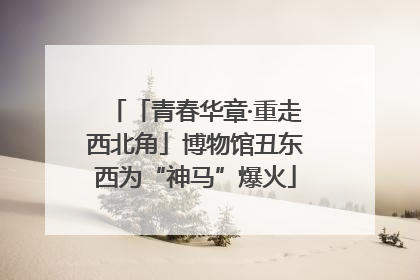 「青春华章·重走西北角」博物馆丑东西为“神马”爆火