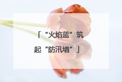 “火焰蓝”筑起“防汛墙”