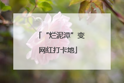 “烂泥潭”变网红打卡地