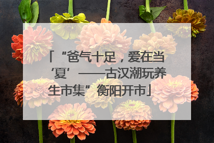 “爸气十足，爱在当‘夏’——古汉潮玩养生市集”衡阳开市