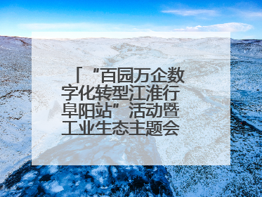 “百园万企数字化转型江淮行阜阳站”活动暨工业生态主题会议成功举办