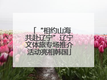 “相约山海 共赴辽宁”辽宁文体旅专场推介活动亮相韩国