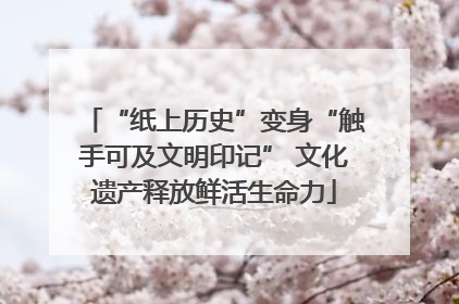 “纸上历史”变身“触手可及文明印记” 文化遗产释放鲜活生命力