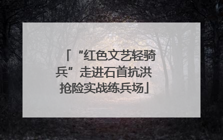 “红色文艺轻骑兵”走进石首抗洪抢险实战练兵场