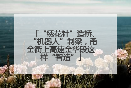 “绣花针”造桥、“机器人”制梁，甬金衢上高速金华段这样“智造”