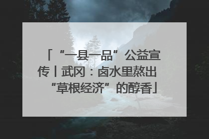 “一县一品”公益宣传丨武冈：卤水里熬出“草根经济”的醇香