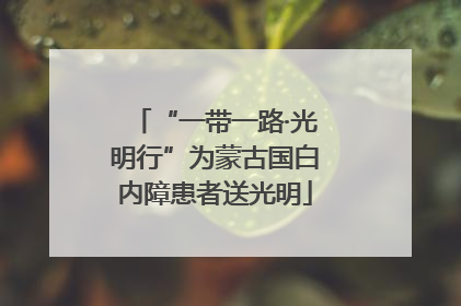 “一带一路·光明行”为蒙古国白内障患者送光明