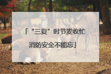 “三夏”时节麦收忙 消防安全不能忘