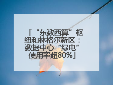 “东数西算”枢纽和林格尔新区：数据中心“绿电”使用率超80%