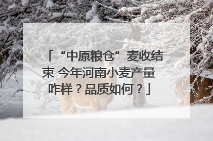 “中原粮仓”麦收结束 今年河南小麦产量咋样？品质如何？