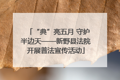 “典”亮五月 守护半边天——新野县法院开展普法宣传活动