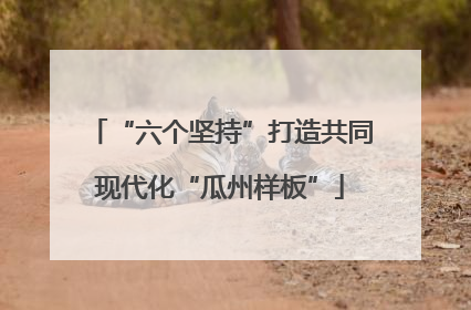 “六个坚持”打造共同现代化“瓜州样板”