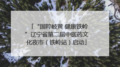 “国粹岐黄 健康铁岭”辽宁省第二届中医药文化夜市（铁岭站）启动