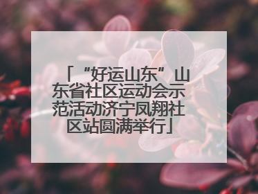 “好运山东”山东省社区运动会示范活动济宁凤翔社区站圆满举行