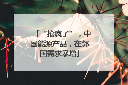 “抢疯了”，中国能源产品，在邻国需求暴增