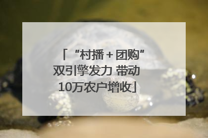 “村播＋团购”双引擎发力 带动10万农户增收