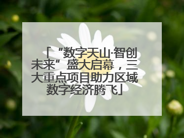 “数字天山·智创未来”盛大启幕，三大重点项目助力区域数字经济腾飞