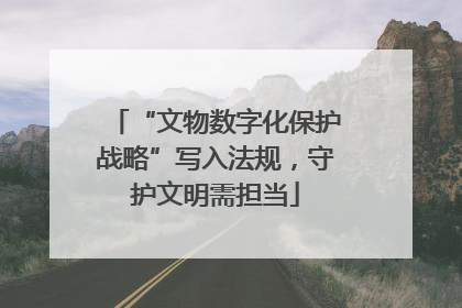 “文物数字化保护战略”写入法规，守护文明需担当