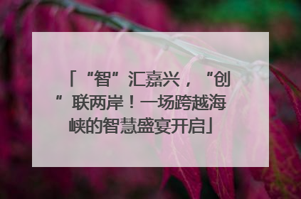 “智”汇嘉兴，“创”联两岸！一场跨越海峡的智慧盛宴开启