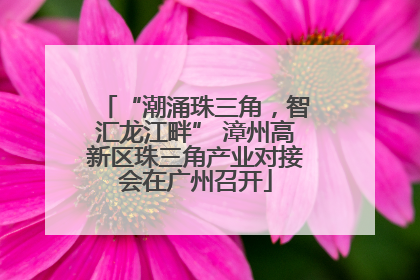 “潮涌珠三角，智汇龙江畔” 漳州高新区珠三角产业对接会在广州召开