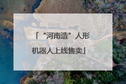 “河南造”人形机器人上线售卖