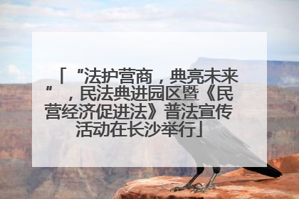“法护营商，典亮未来”，民法典进园区暨《民营经济促进法》普法宣传活动在长沙举行