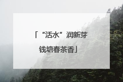 “活水”润新芽 钱塘春茶香
