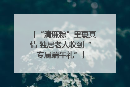 “清廉粽”里裹真情 独居老人收到“专属端午礼”