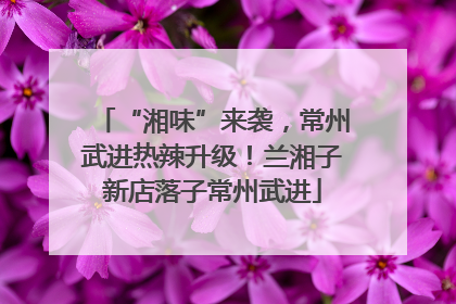 “湘味”来袭，常州武进热辣升级！兰湘子新店落子常州武进