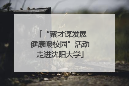 “聚才谋发展 健康暖校园”活动走进沈阳大学