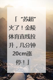 “苏超”火了！金陵体育直线拉升，几分钟20cm涨停！