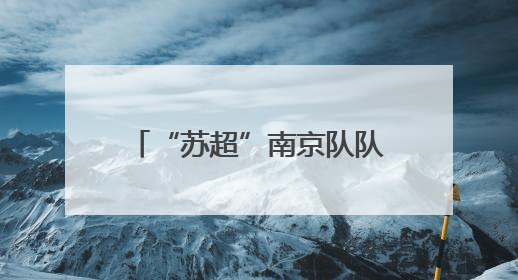 “苏超”南京队队徽是怎么来的？收藏家王世清细说源头