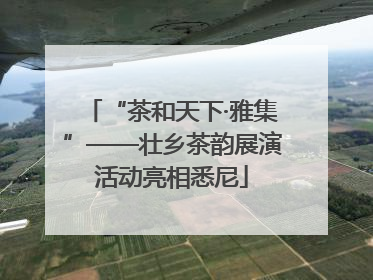 “茶和天下·雅集”——壮乡茶韵展演活动亮相悉尼