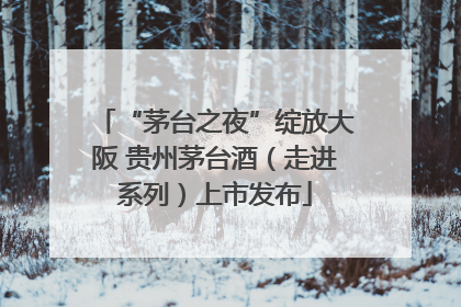 “茅台之夜”绽放大阪 贵州茅台酒（走进系列）上市发布