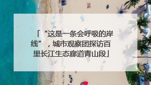 “这是一条会呼吸的岸线”，城市观察团探访百里长江生态廊道青山段