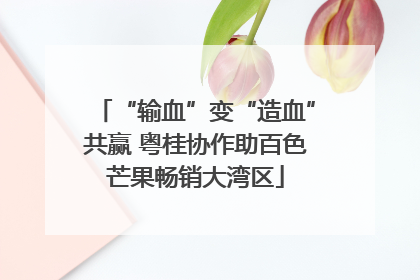 “输血”变“造血”共赢 粤桂协作助百色芒果畅销大湾区