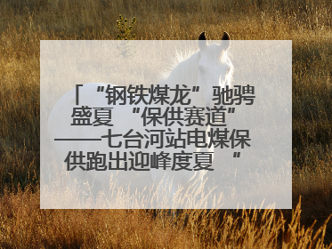 “钢铁煤龙”驰骋盛夏 “保供赛道”——七台河站电煤保供跑出迎峰度夏 “加速度”