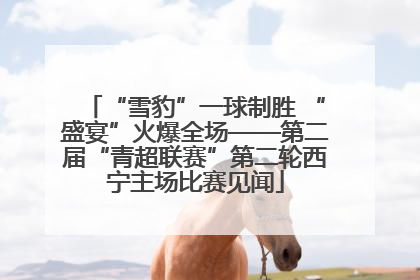 “雪豹”一球制胜 “盛宴”火爆全场——第二届“青超联赛”第二轮西宁主场比赛见闻