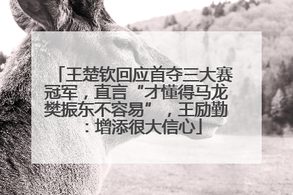 王楚钦回应首夺三大赛冠军，直言“才懂得马龙樊振东不容易”，王励勤：增添很大信心