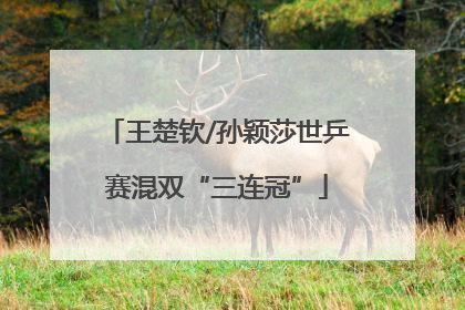 王楚钦/孙颖莎世乒赛混双“三连冠”