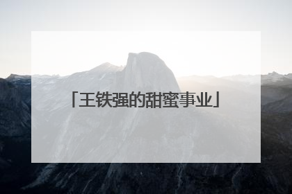 王铁强的甜蜜事业