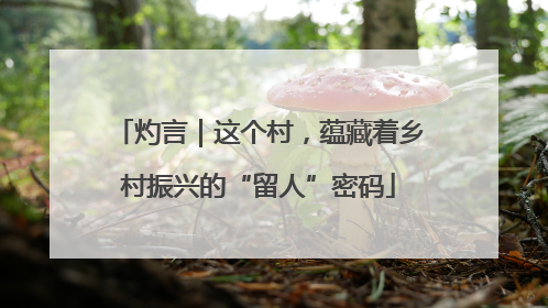 灼言｜这个村，蕴藏着乡村振兴的“留人”密码