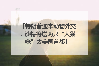 特朗普迎来动物外交：沙特将送两只“大猫咪”去美国首都