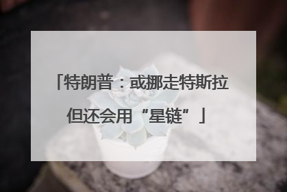 特朗普：或挪走特斯拉 但还会用“星链”